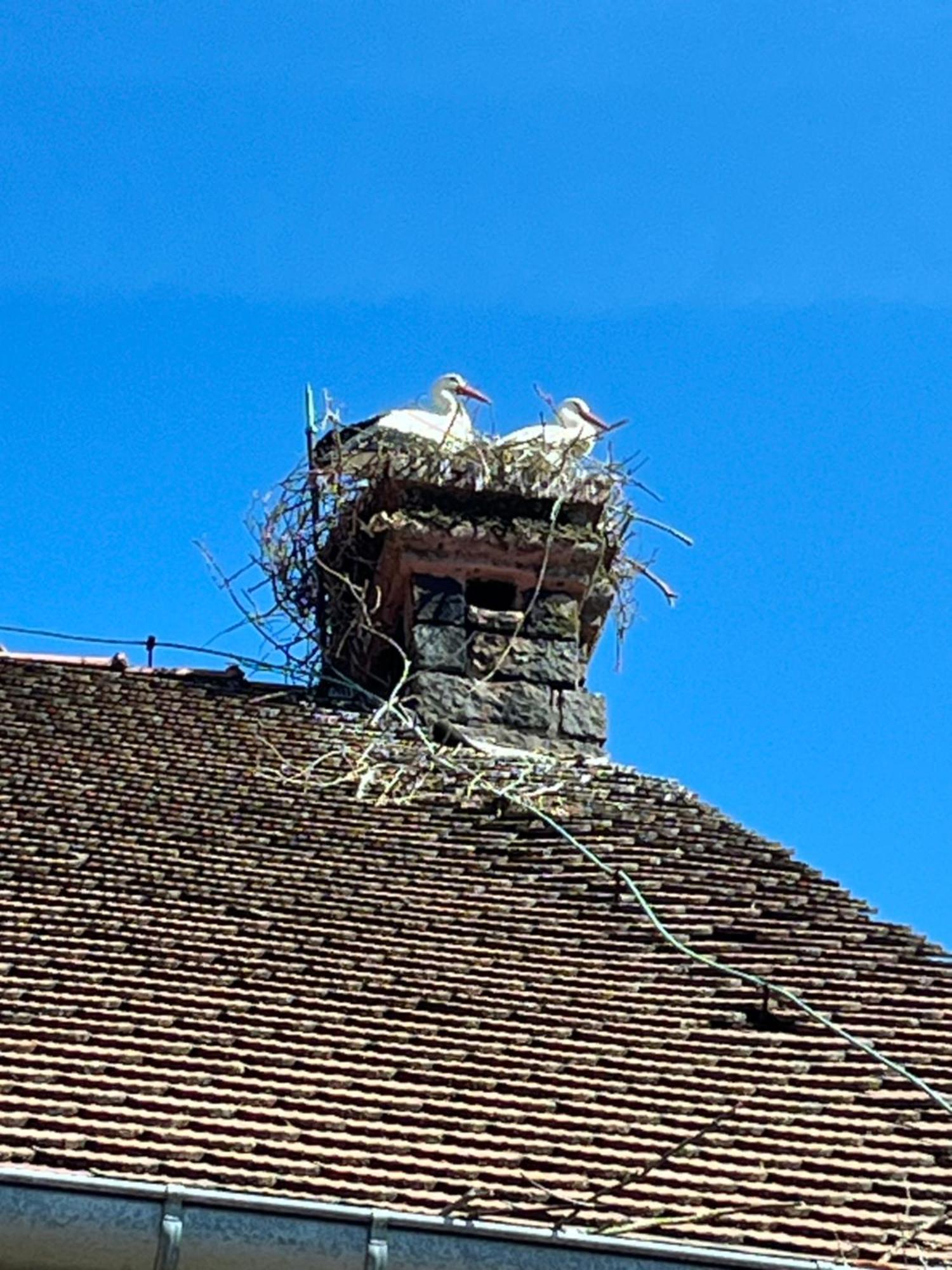 Gîte L'Instant Durable Oberbronn Extérieur photo